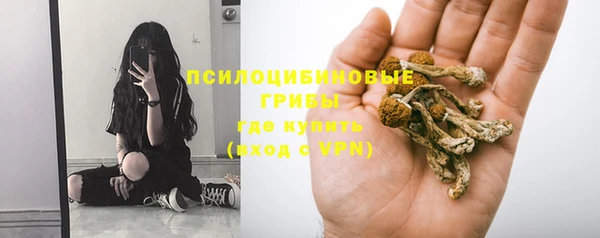 таблы Арсеньев