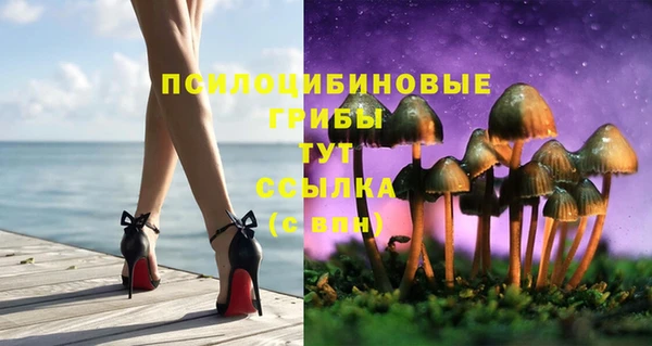 а пвп мука Аркадак