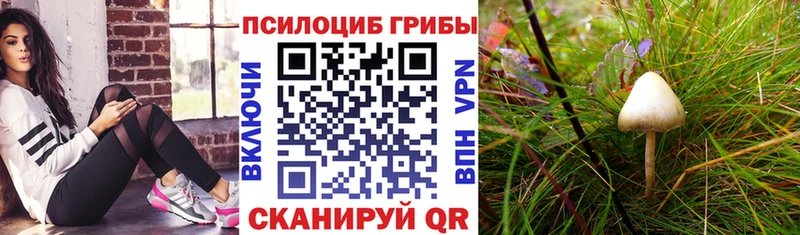 Галлюциногенные грибы ЛСД  Верхоянск 